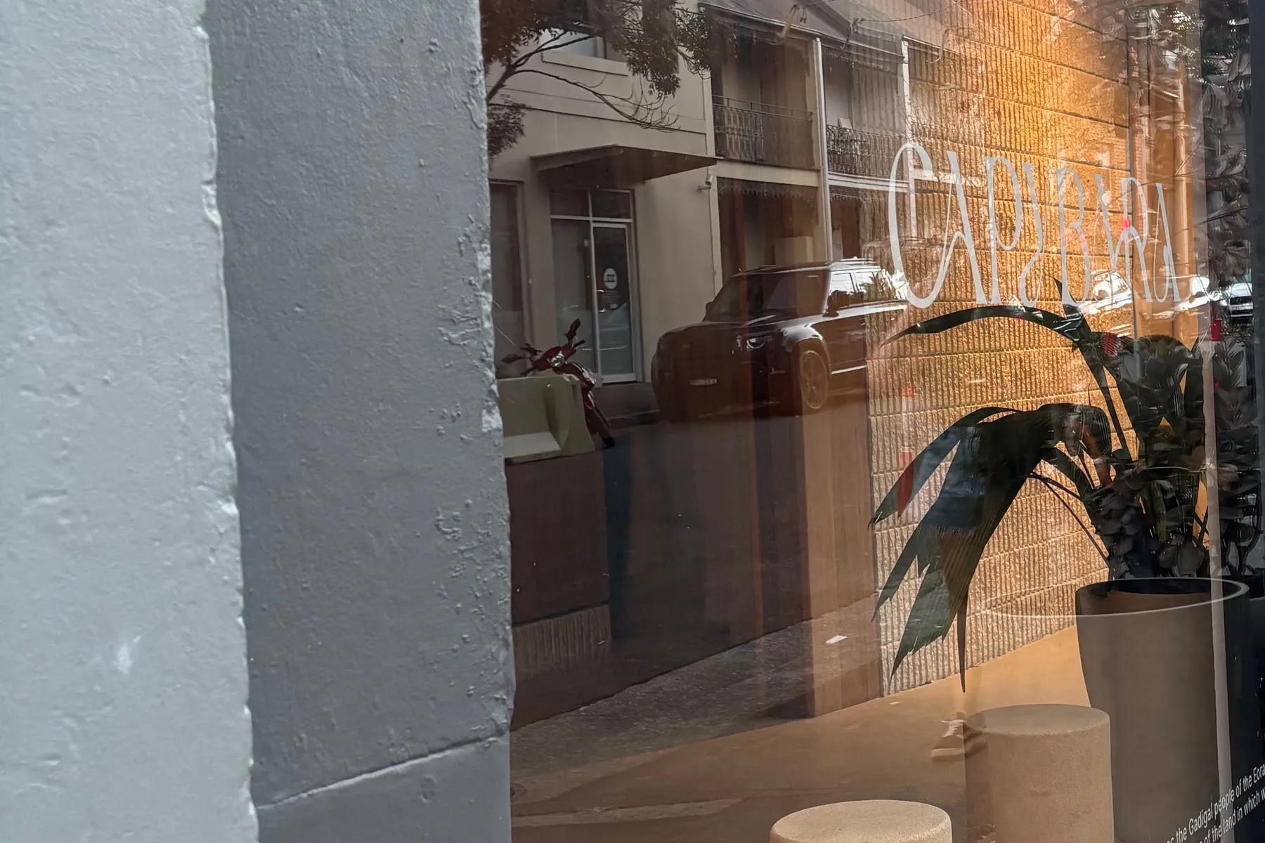 Fachada de vidrio de la Capybara en Surry Hills, Sydney